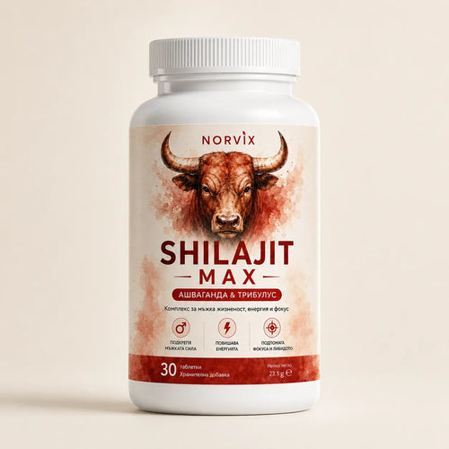 Norvix Shilajit Max