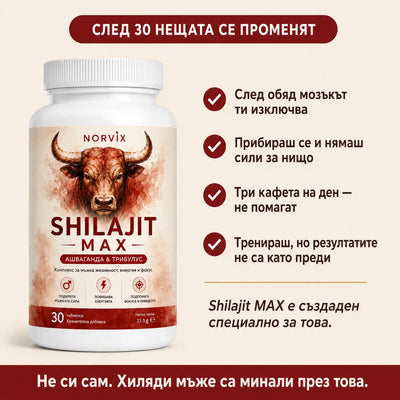 Norvix Shilajit Max