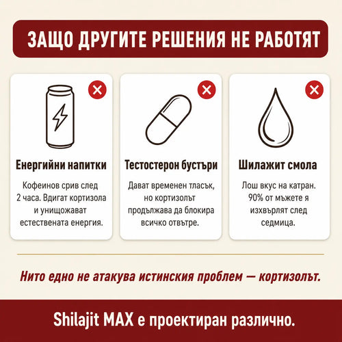 Norvix Shilajit Max