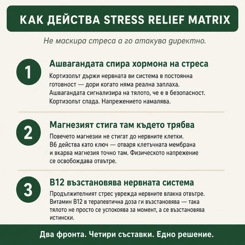 Norvix Stress Relief