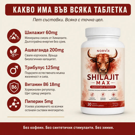 Norvix Shilajit Max